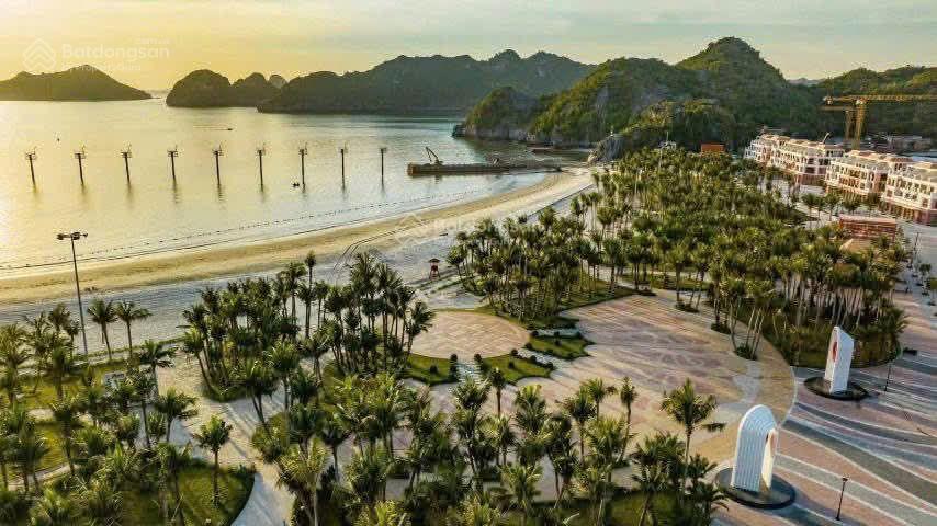 Chỉ từ 600 triệu sở hữu căn hộ biển cao cấp view biển 360 tại cát bà | dòng tiền cho thuê 25tr30tr