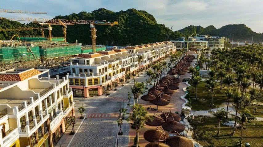 Chỉ từ 600 triệu sở hữu căn hộ biển cao cấp view biển 360 tại cát bà | dòng tiền cho thuê 25tr30tr
