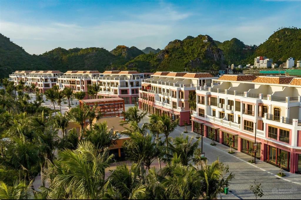 Chỉ từ 600 triệu sở hữu căn hộ biển cao cấp view biển 360 tại cát bà | dòng tiền cho thuê 25tr30tr