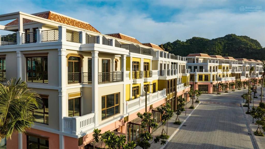 Chỉ từ 600 triệu sở hữu căn hộ biển cao cấp view biển 360 tại cát bà | dòng tiền cho thuê 25tr30tr