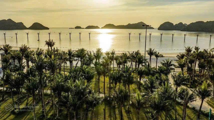 Chỉ từ 600 triệu sở hữu căn hộ biển cao cấp view biển 360 tại cát bà | dòng tiền cho thuê 25tr30tr