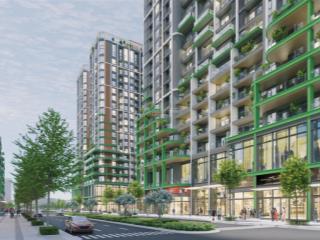 Căn hộ biển giá dự kiến 1.6 tỷ món quà đầu tư từ sungroup trong năm 2026  quà tặng ck 5%