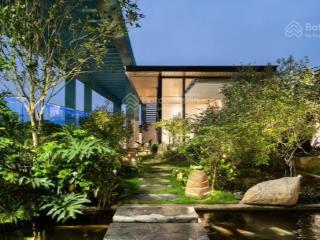 Penthouse 3 tầng víp nhất, tk 5n 5vs, có bể bơi, sân vườn, thang máy riêng, ful nội thất nhập khẩu