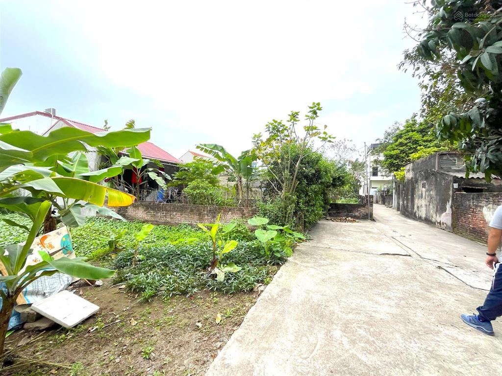 Gia đình cần bán đất sát chợ trục chính xã phạm hồng thái, 2,6 tỷ, 94,7 m2, hàng hiếm tại hưng yên