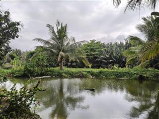 Đát đẹp hội an, diện tích lớn, giá rẽ, pháp lý sạch.