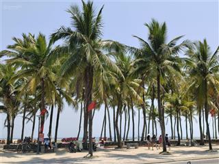 Chủ cần bán gấp, đất biển tân thành, hội an. trực diện biển.