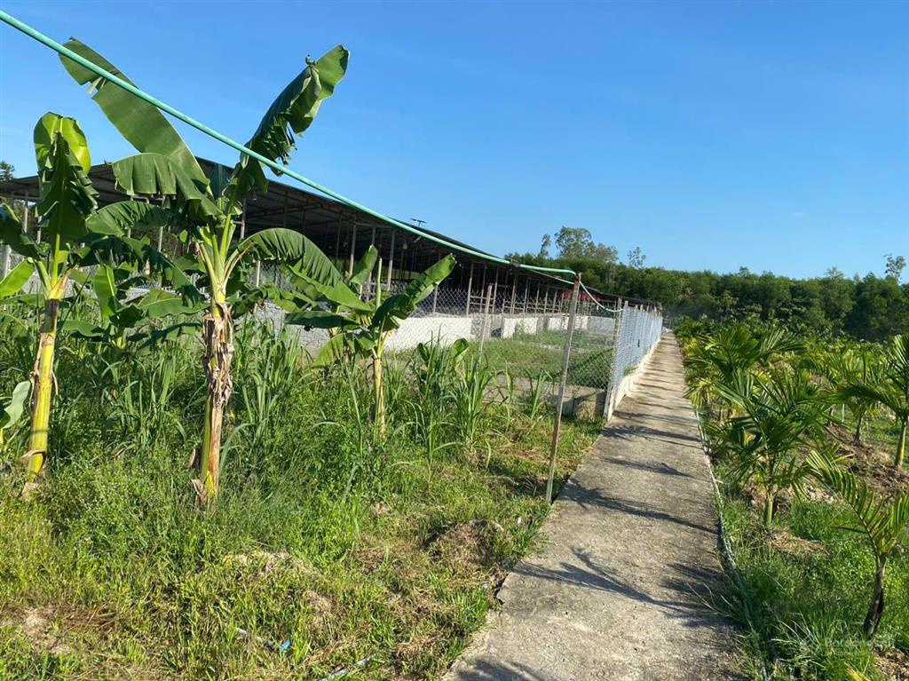 Bán đất tịnh thọ, sơn tịnh, quảng ngãi, giá ưu đãi 24 tỷ 600, 14852 m2
