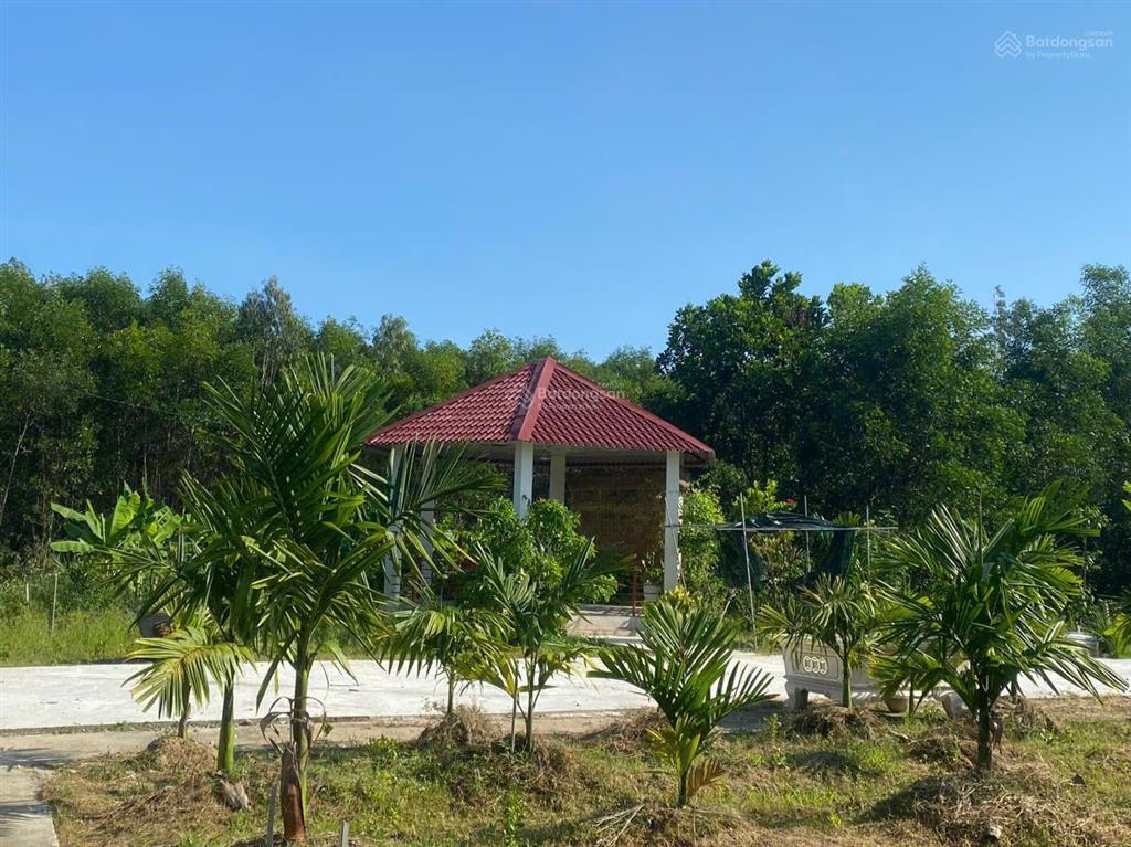 Bán đất tịnh thọ, sơn tịnh, quảng ngãi, giá ưu đãi 24 tỷ 600, 14852 m2