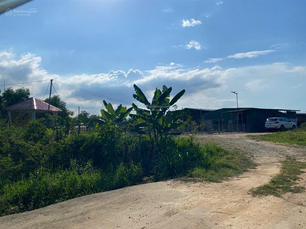 Bán đất tịnh thọ, sơn tịnh, quảng ngãi, giá ưu đãi 24 tỷ 600, 14852 m2