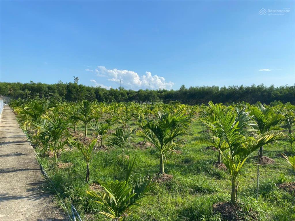 Bán đất tịnh thọ, sơn tịnh, quảng ngãi, giá ưu đãi 24 tỷ 600, 14852 m2