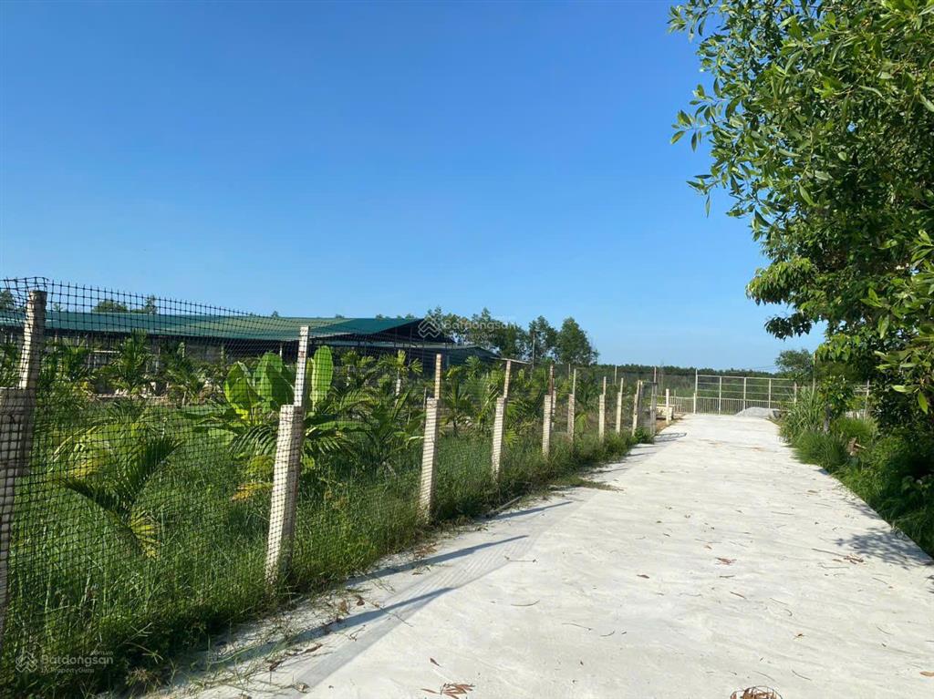 Bán đất tịnh thọ, sơn tịnh, quảng ngãi, giá ưu đãi 24 tỷ 600, 14852 m2