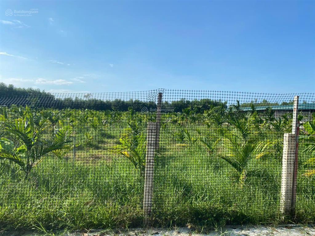 Bán đất tịnh thọ, sơn tịnh, quảng ngãi, giá ưu đãi 24 tỷ 600, 14852 m2