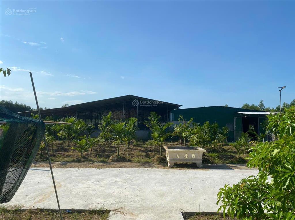 Bán đất tịnh thọ, sơn tịnh, quảng ngãi, giá ưu đãi 24 tỷ 600, 14852 m2