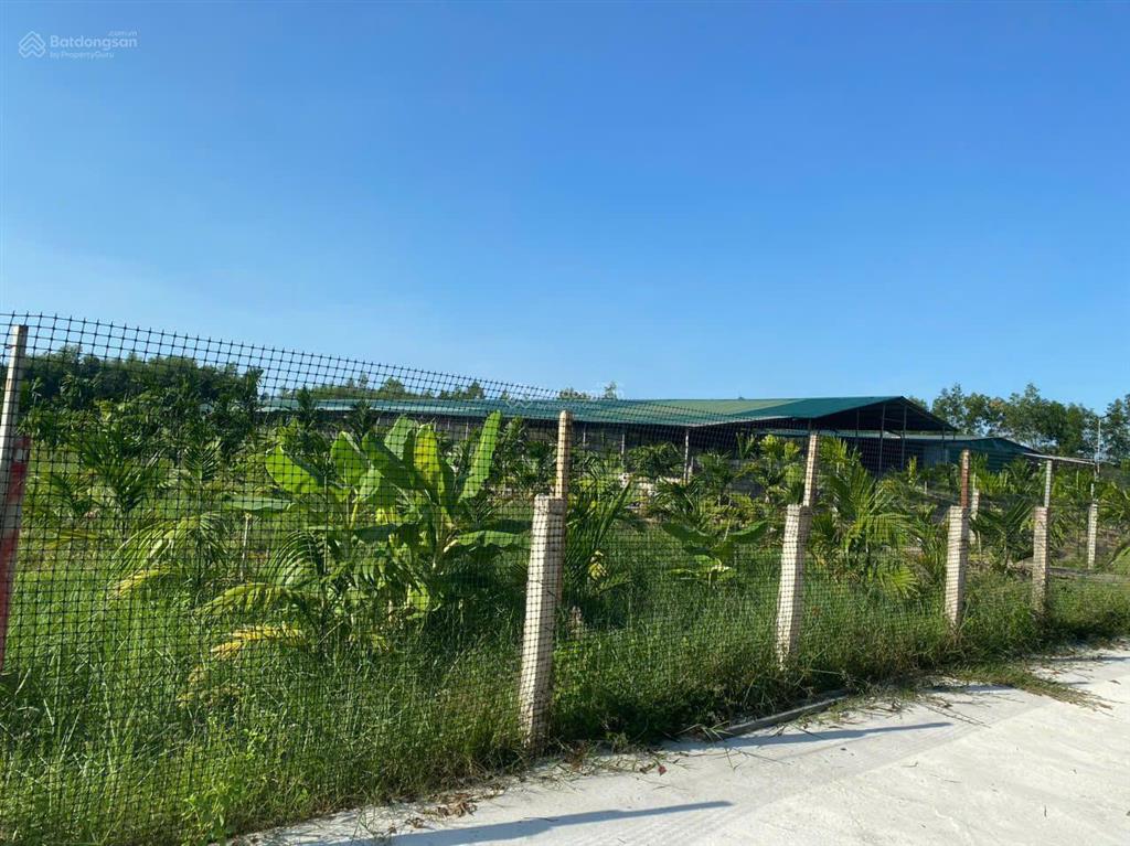 Bán đất tịnh thọ, sơn tịnh, quảng ngãi, giá ưu đãi 24 tỷ 600, 14852 m2