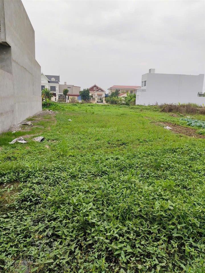 Chính chủ gửi bán  lô đấu giá vườn cam, kiến thụy đất đấu giá mà diện tích hơn 128m2, đường 9m