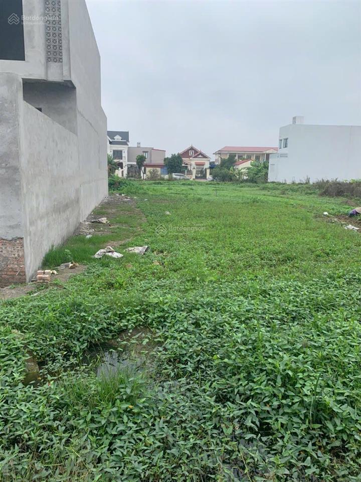 Chính chủ gửi bán  lô đấu giá vườn cam, kiến thụy đất đấu giá mà diện tích hơn 128m2, đường 9m