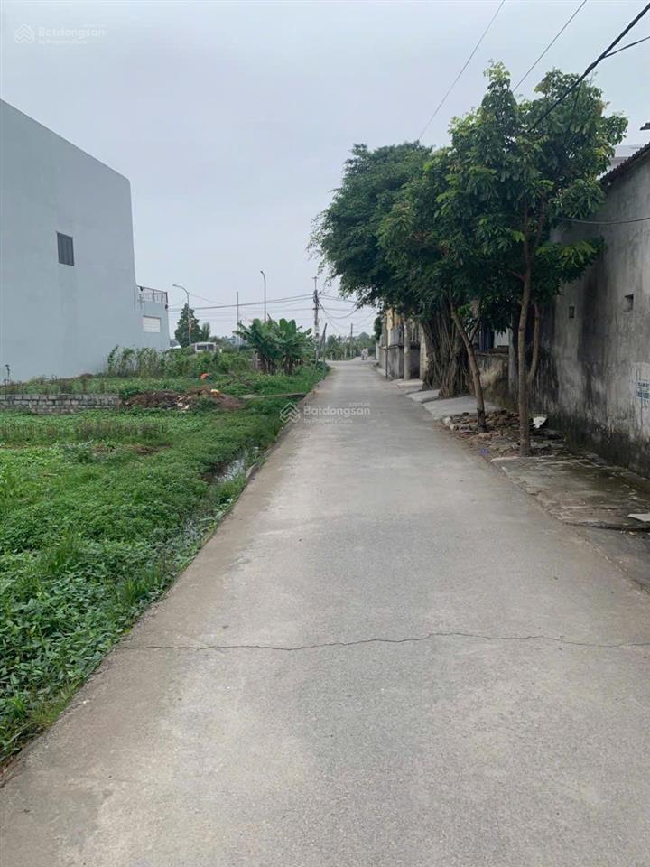 Chính chủ gửi bán  lô đấu giá vườn cam, kiến thụy đất đấu giá mà diện tích hơn 128m2, đường 9m