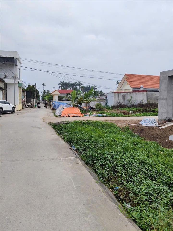 Chính chủ gửi bán  lô đấu giá vườn cam, kiến thụy đất đấu giá mà diện tích hơn 128m2, đường 9m