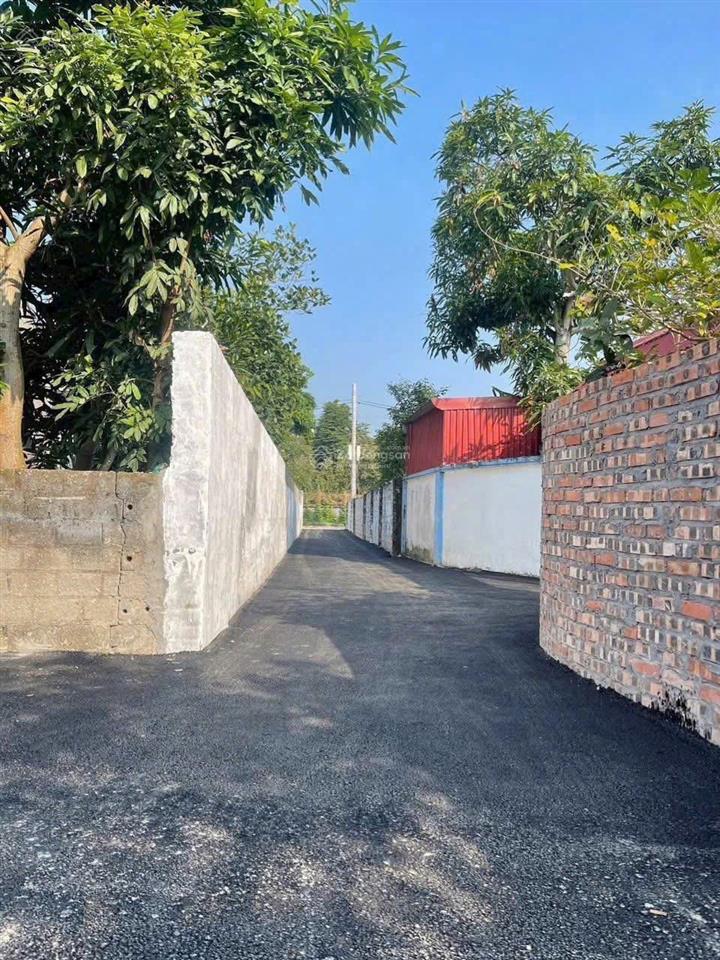 Chính chủ gửi bán lô đất 61m2 thổ cư | kiến minh, hải phòng