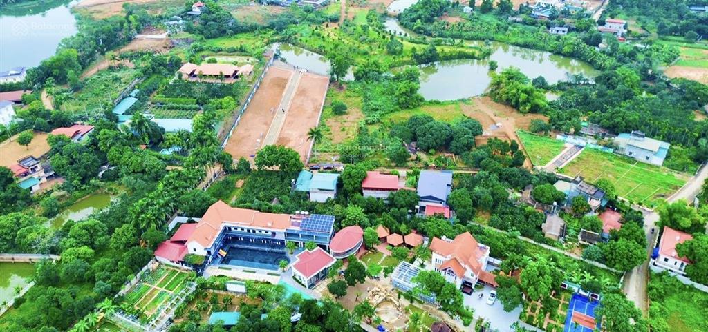 Sở hữu không gian sống xanh đất view hồ sinh thái hòa lạc  full thổ cư  2.x tỷ.