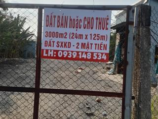 Đất chính chủ 3000m2 bán (hoặc cho thuê dài hạn)