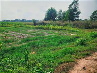 Bán đất p. an tịnh (trảng bàng) giáp củ chi, diện tích 9x35m, giá 450 triệu bao giấy tờ