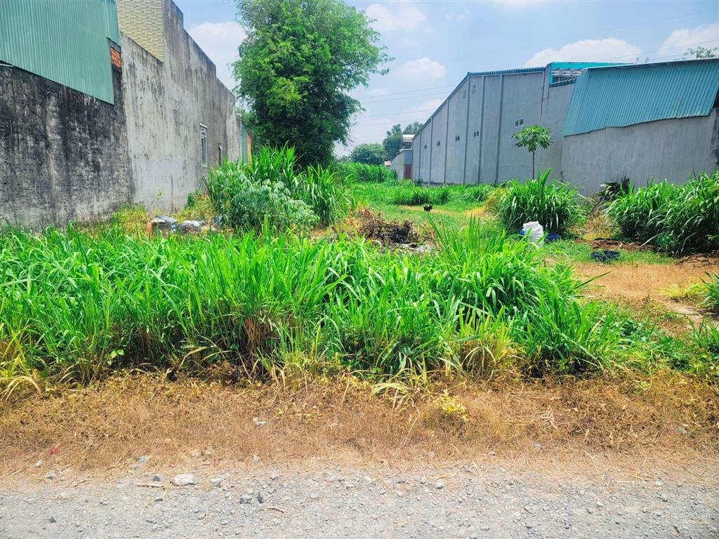 Đất an tịnh 290m2 full thổ cư, cách kcn trảng bàng 5p đi xe máy, giá 650tr bao giấy tờ.