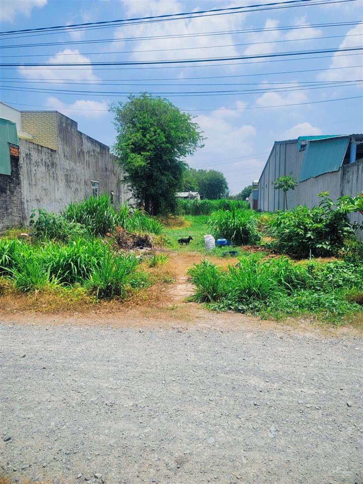Đất an tịnh 290m2 full thổ cư, cách kcn trảng bàng 5p đi xe máy, giá 650tr bao giấy tờ.
