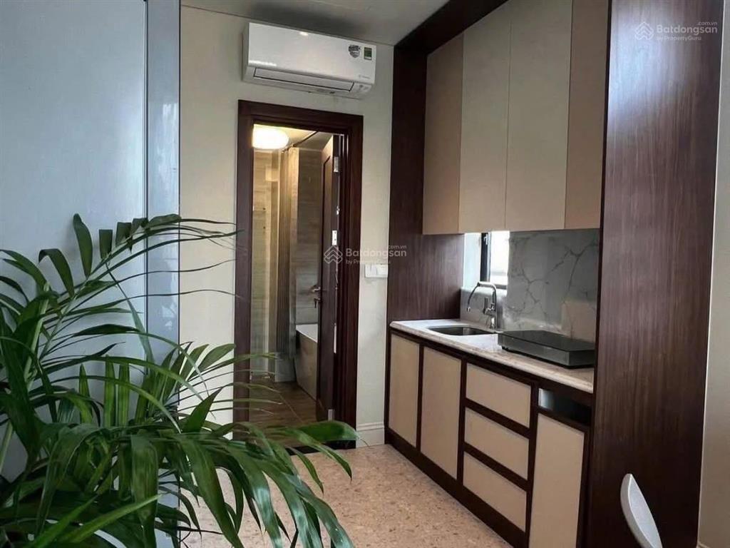 Căn hộ 1 phòng ngủ hiện đại full nội thất ngay đường nguyễn cư trinh quận 1 sát phố bùi viện