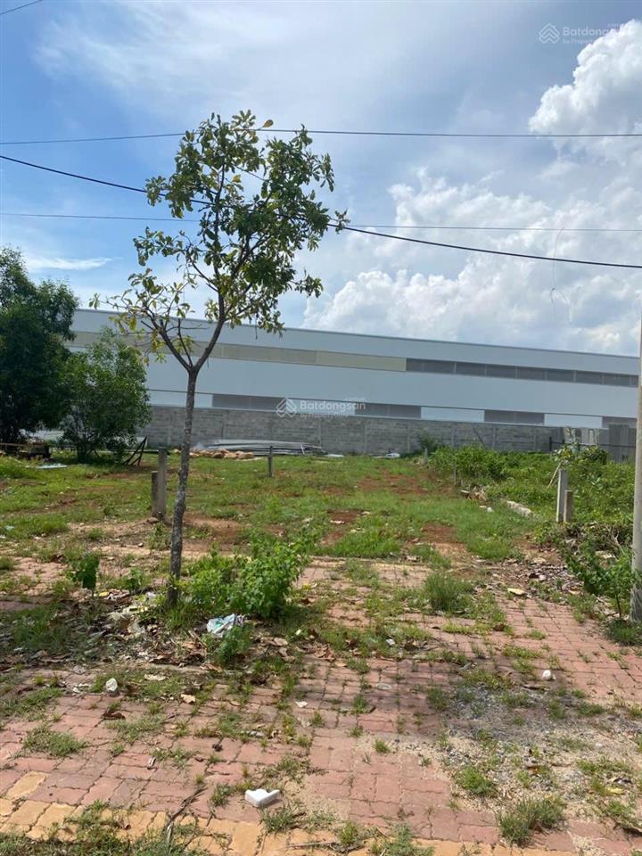Bán đất 195.4m2, 5 tỷ tại lê duẩn, thị trấn long hải, huyện long điền, bà rịa vũng tàu