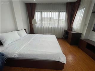 Cho thuê căn hộ tại phan kế bính diện tích 45m2 studio giá 9 triệu full đồ giao thông thuận tiện