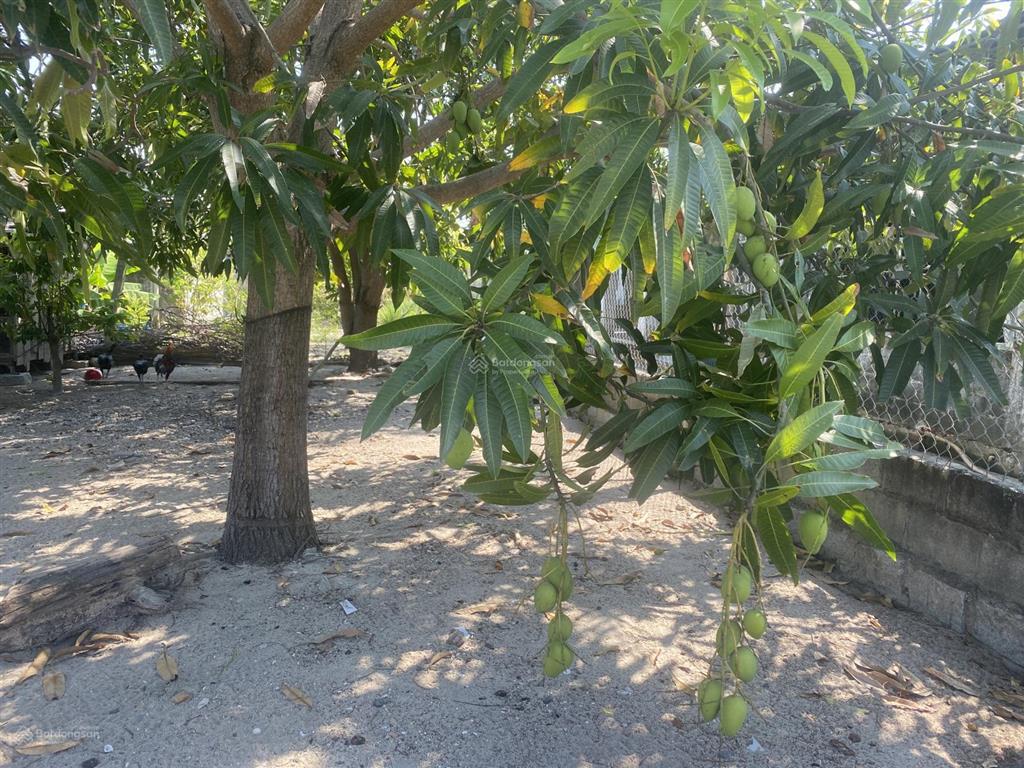 Bán đất có thổ cư, khu vực bàn cờ tân quý, cam thanh bắc.  0975 057 ***