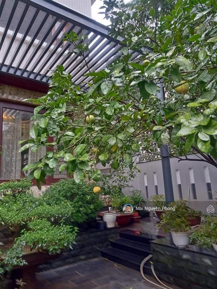 Bt lô góc lão thành cách mạng 300m2x4t có hầm 145tỷ vỉa hè 3 bên view vườn hoa khu vực đẳng cấp cg!