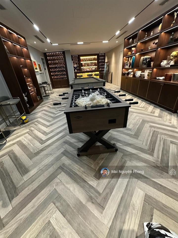 Biệt thự bằng lăng vinhomes riverside bán gấp,510m2 5t có hầm,view hồ,3 thoáng,nội thất cao cấp!