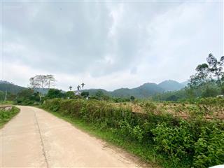 Chính chủ cần bán lô đất nghỉ dưỡng 3500m² ngọc thanh, phúc yên, vĩnh phúc