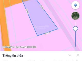 Bán 1581m2 đất mặt tiền đường quốc lộ 14 xã đồng tiến, huyện đồng phú shr chính chủ