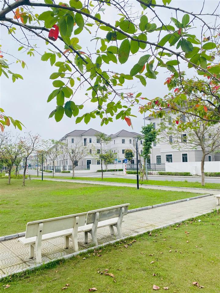 Chuyển nhượng biệt thự đơn lập đẹp tại centa city, sổ sang tên, cam kết không kê chênh giá