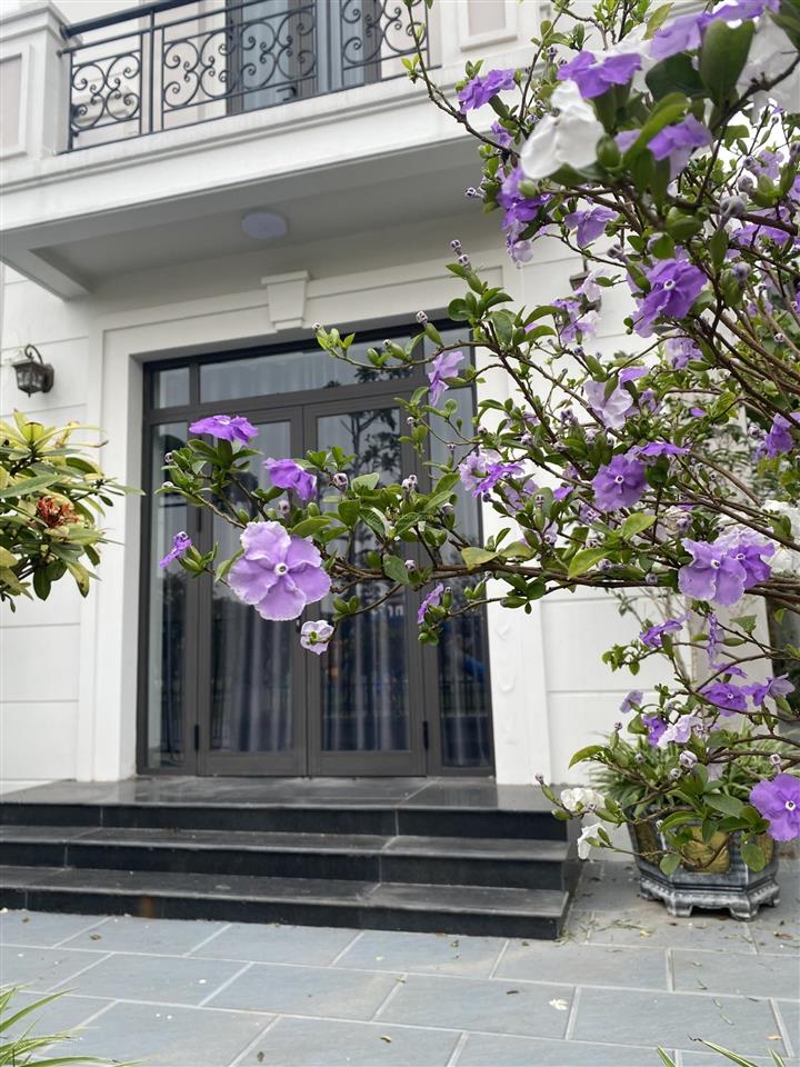 Chuyển nhượng biệt thự đơn lập đẹp tại centa city, sổ sang tên, cam kết không kê chênh giá