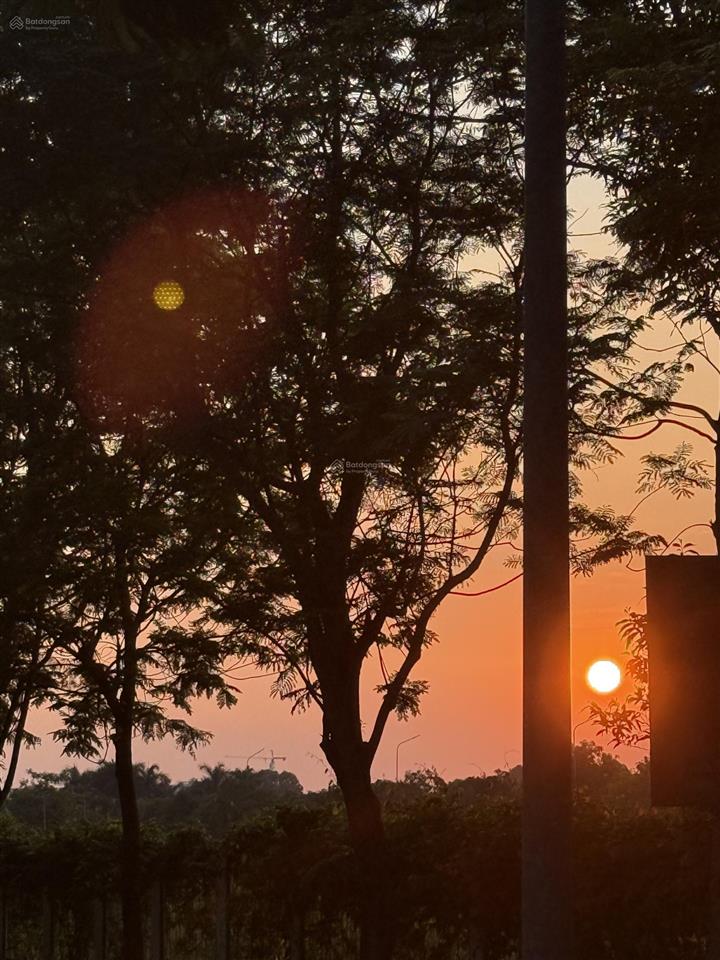 Biệt thự vườn đường long phước gần cao tốc long thành dầu giây  dt 1900m2 ngang 50m  25 tỷ tl