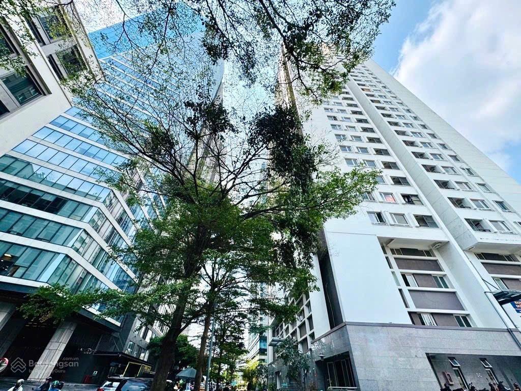 Hàng hiếm  giáp quận 1  chung cư ngay nguyễn hữu cảnh, view bitexco  45m2  shr  chỉ 3,65 tỷ