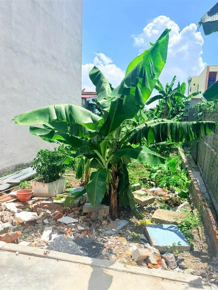 Bán đất tại hải thành, 12,5 triệu vnd/m2, 41,2 m2, giá tốt chính chủ