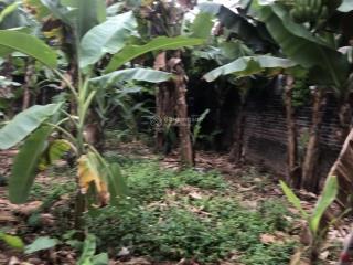 Hàng hiếm ! đất tại phố hiến, hưng yên, giá siêu hời 65 triệu / m2, 148 m2 mặt đường lớn