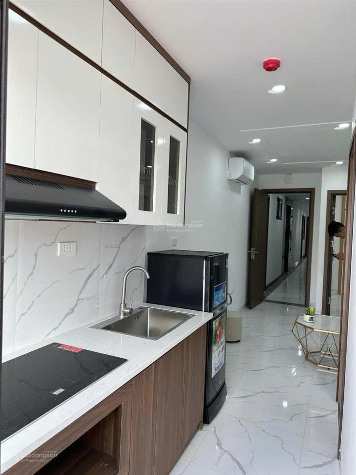 Chính chủ cho thuê ccmn lạc long quân