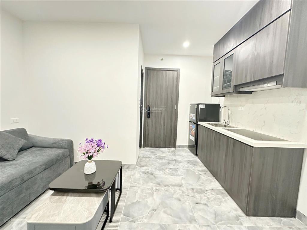 Khai trương tòa ccmn 1 ngủ 1 khách siêu vip, phòng full đồ máy giặt riêng