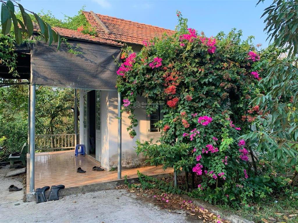 Bán đất vườn sầu riêng, măng cụt có suối, thích hợp làm vườn nghỉ dưỡng, 65m mặt tiền đường bê tông
