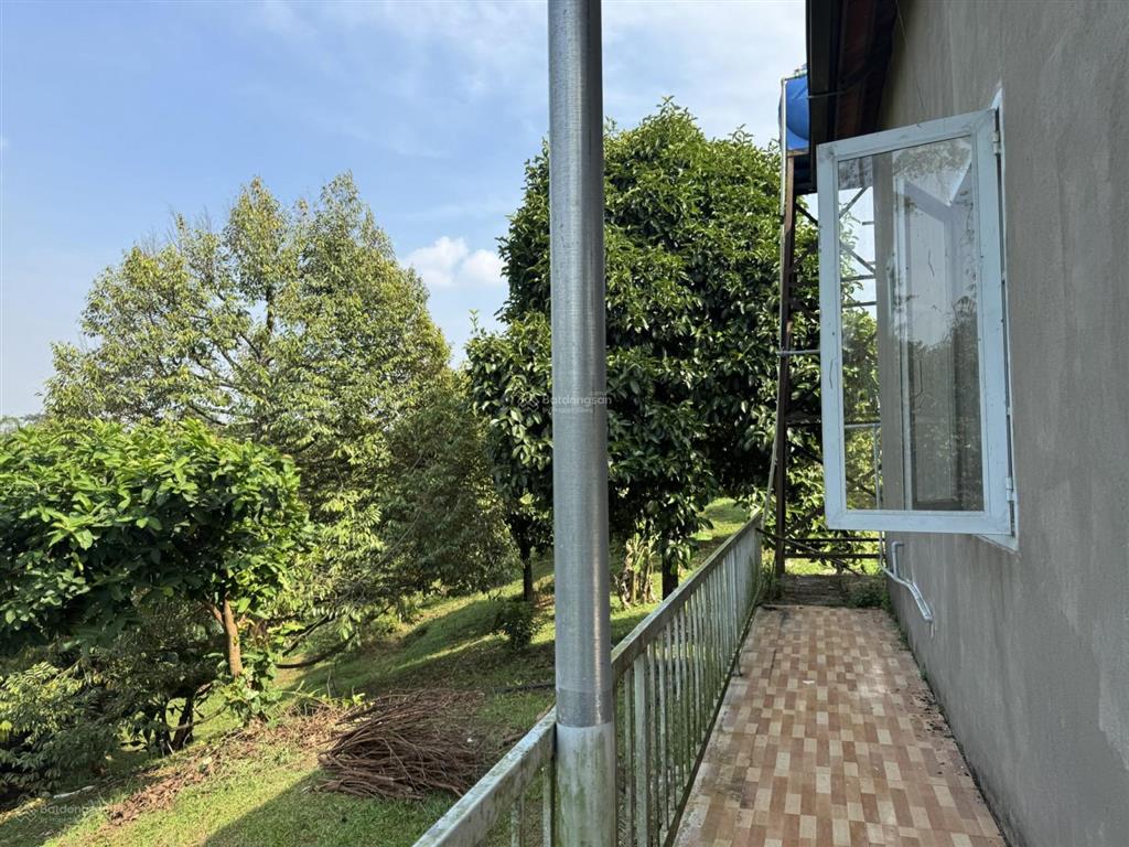 Bán đất vườn sầu riêng, măng cụt có suối, thích hợp làm vườn nghỉ dưỡng, 65m mặt tiền đường bê tông
