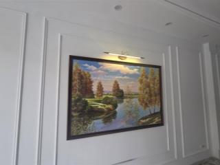 B.á.n nhà mặt phố đan phượng , ô tô tránh, thang máy, kinh doanh đỉnh 60m2, 12 tỷ