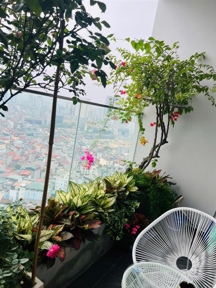 Căn thuê the nine | 77m2 t.kế 2pn2wc | full nội thất  21 triệu