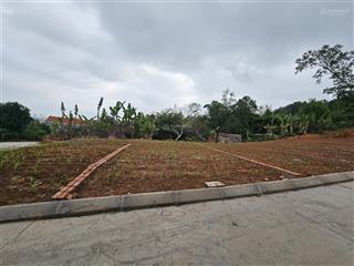 Bán đất chính chủ phường lưu kiếm thủy nguyên hải phòng