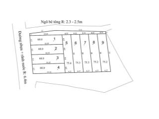 1 lô duy nhất fo phường lưu kiếm thủy nguyên